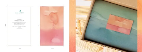 Máster Online en Diseño Gráfico