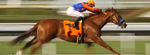 ¿En qué consiste el slow motion?