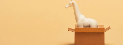 ¿Qué tipos de packaging existen?