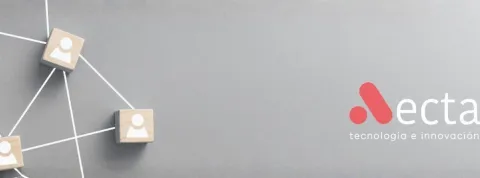 banner paula collado