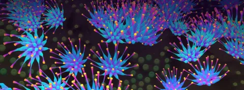 ¿Qué tienen en común la música, la ciencia y el arte visual?