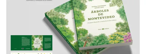 Árboles de Montevideo