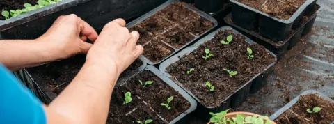 jardinería ecológica- 1.
