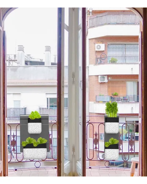 UETO 2