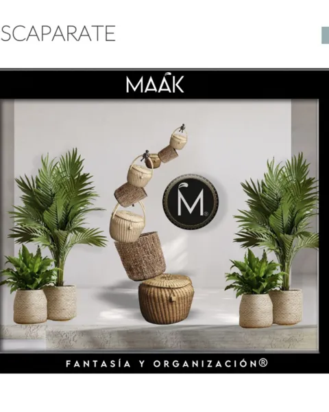 MÀAK: Fantasía y Organización