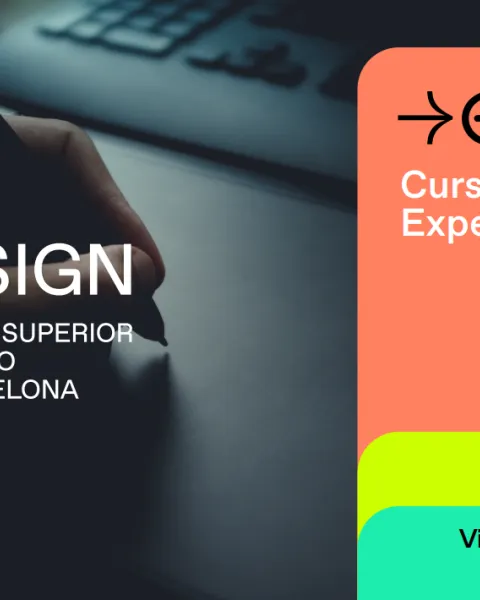 Cursos de Experto