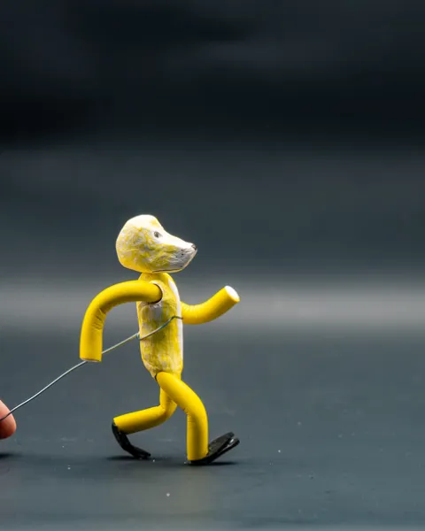 stop motion