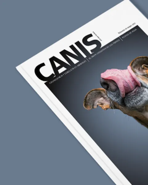 000_portada.png