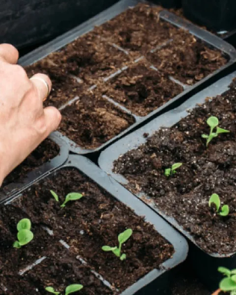 jardinería ecológica- 1.