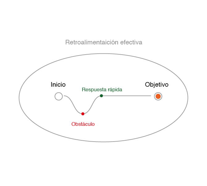 grafico_retroalimentacion