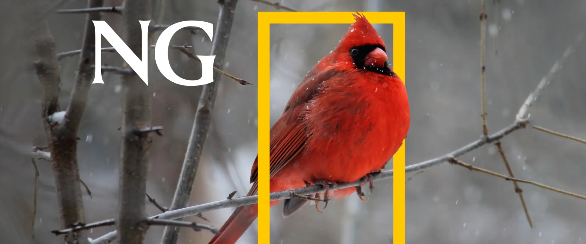 National Geographic