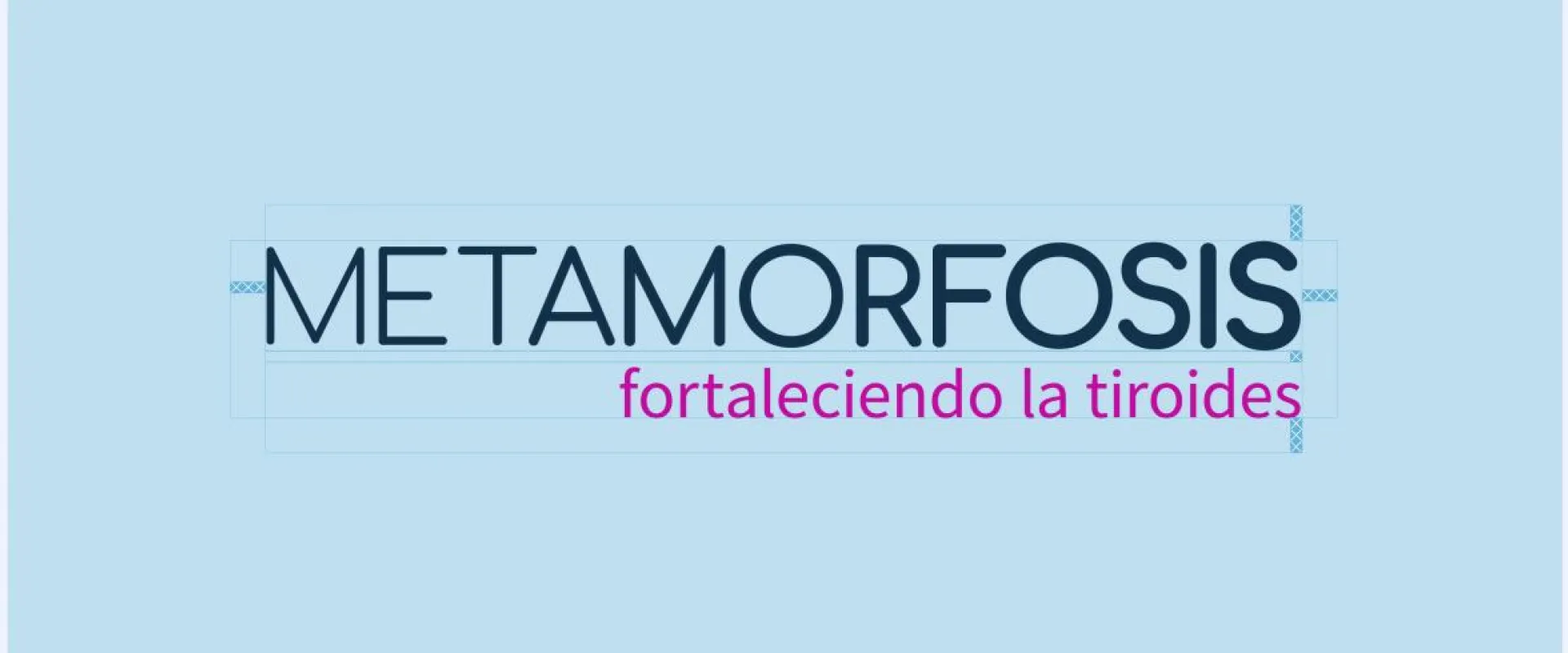 metamorfosis_imagenes_web_02_logo_construction.jpg