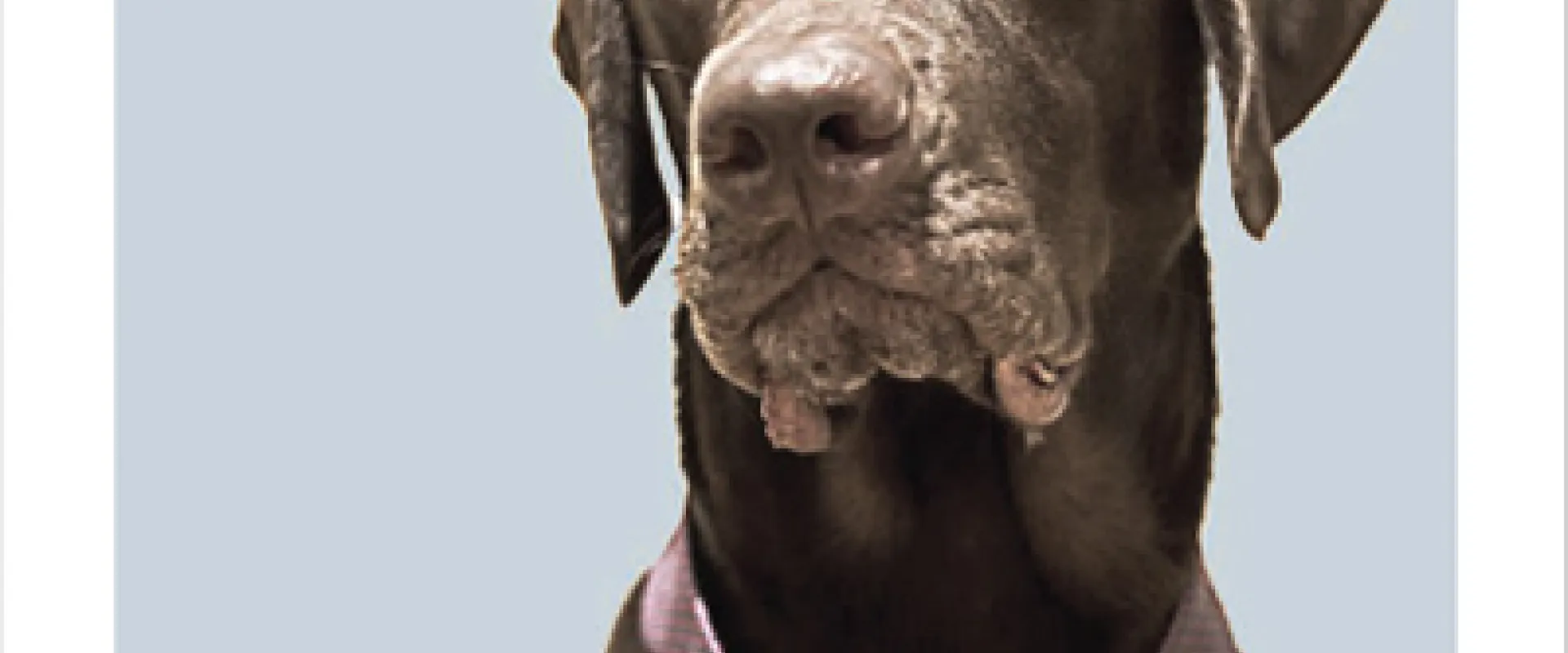 portada_nanook.jpg