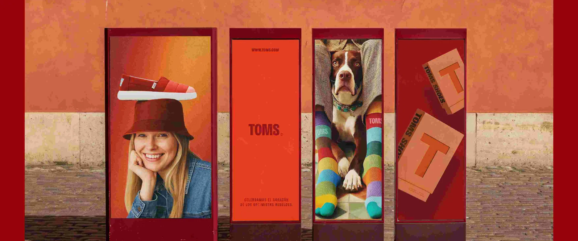 Toms 3
