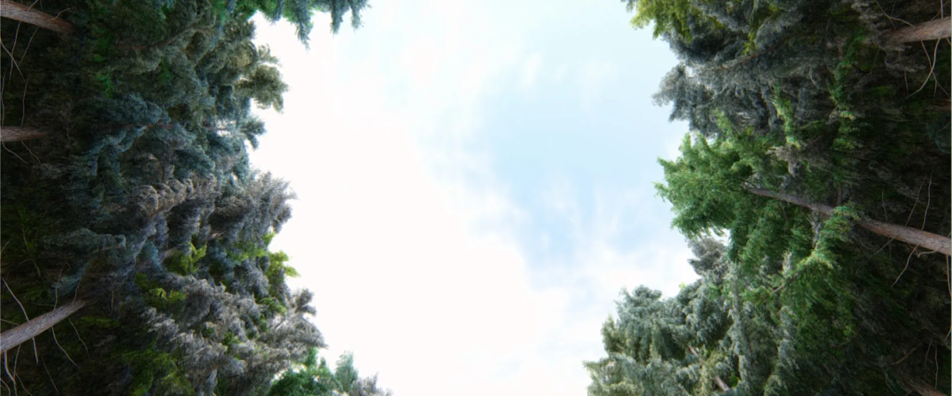 ARTIFICIO_04