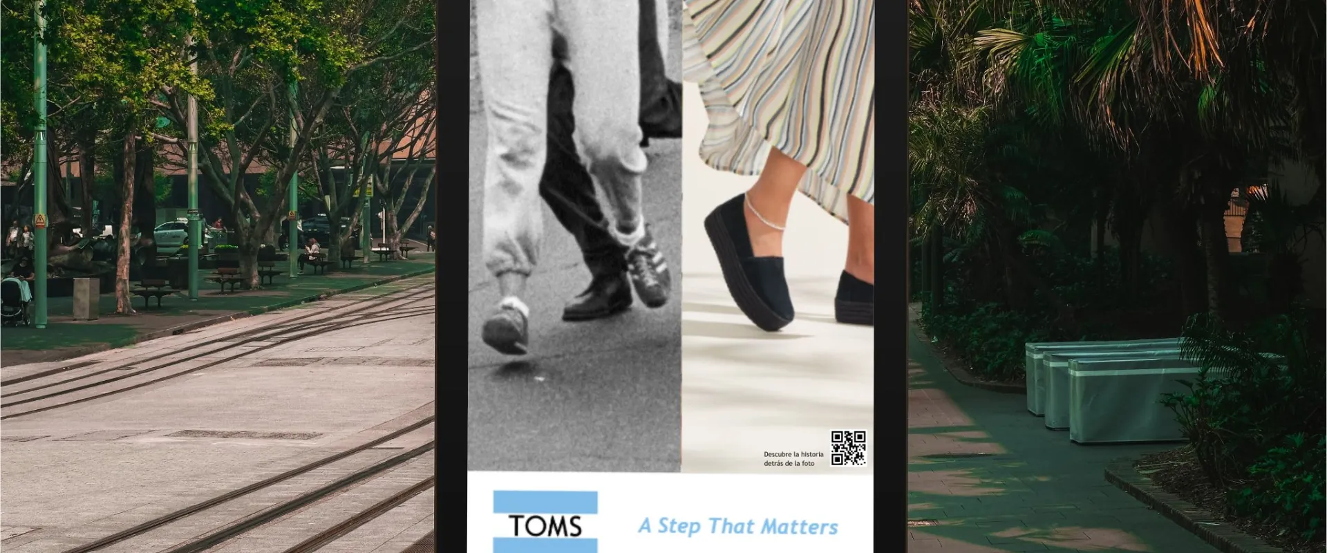 TOMS