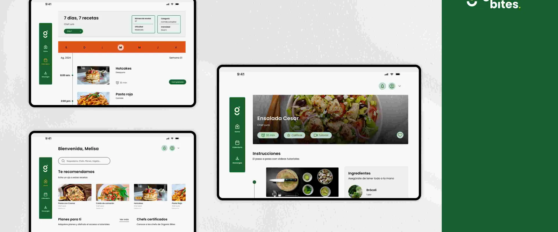 Proyecto Organic Bite_05