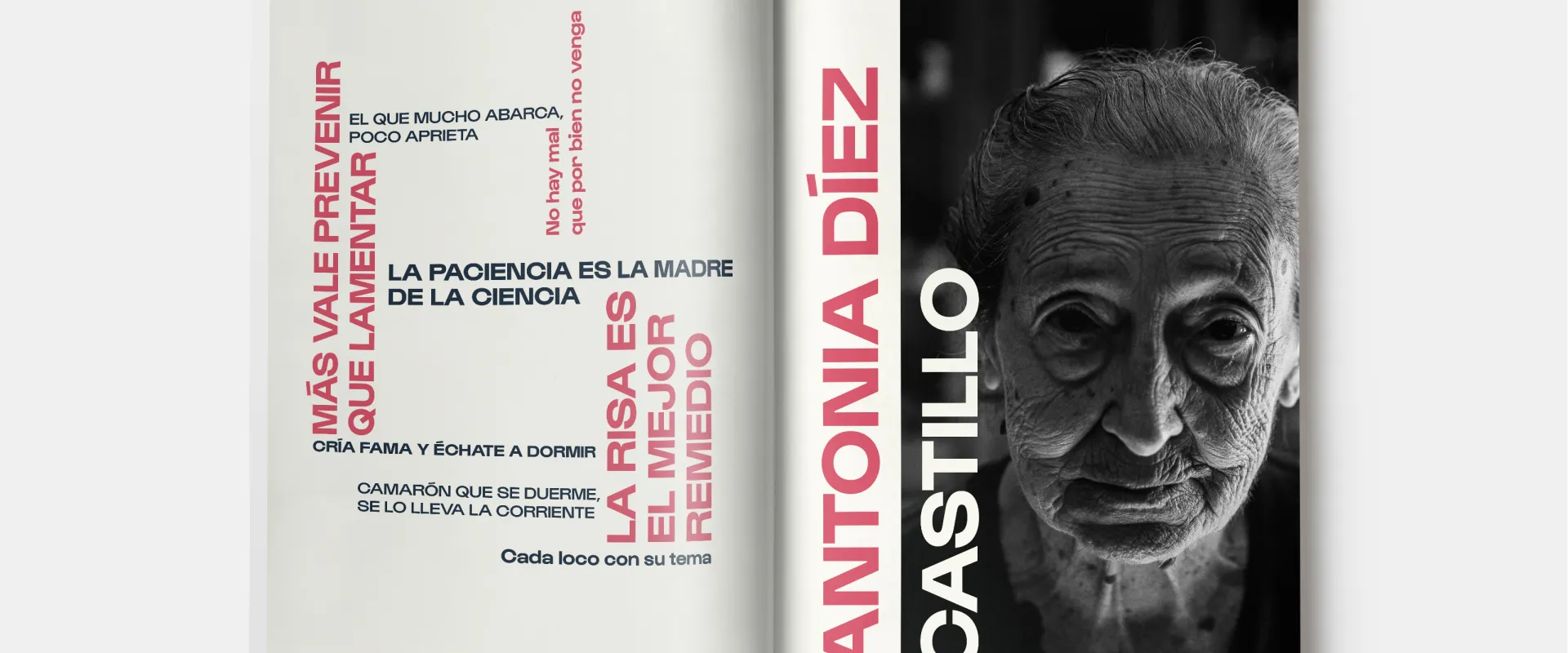 Canas de charla