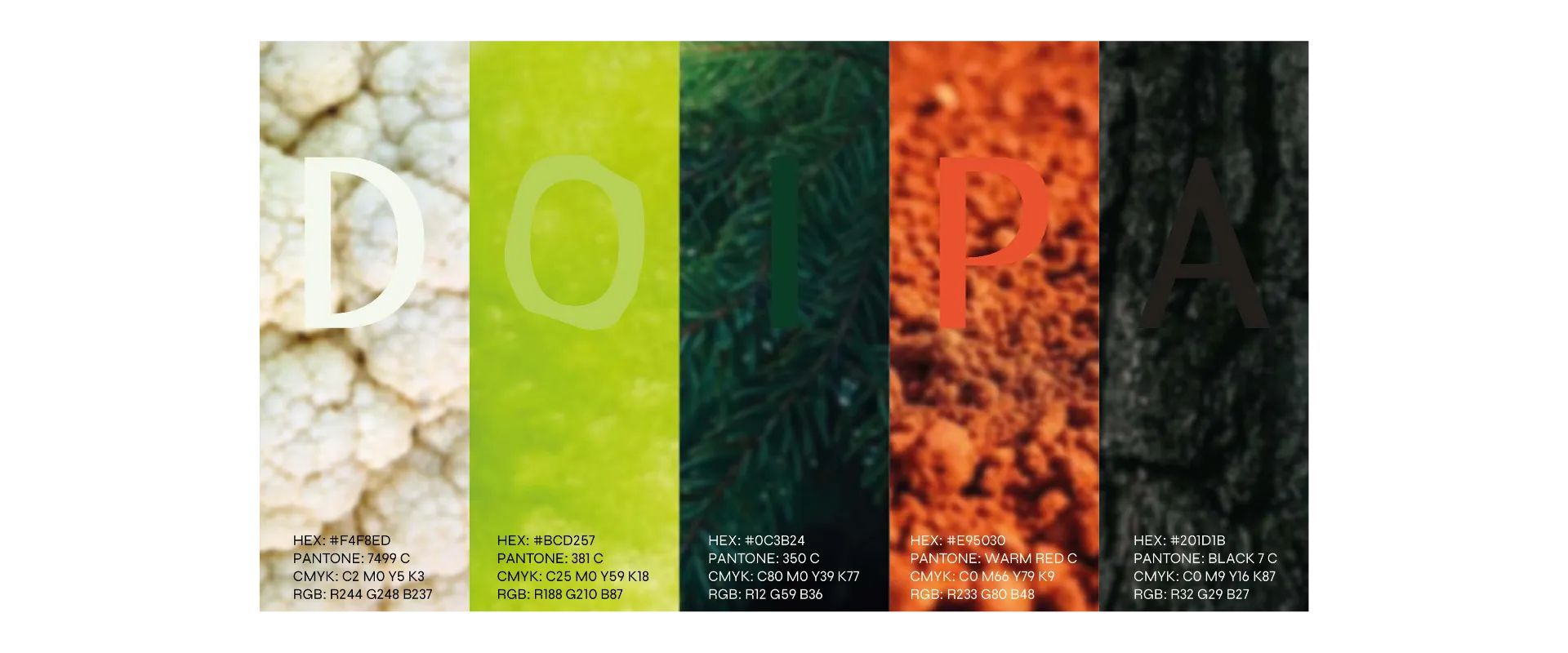 Portfolio - DOIPA (1)