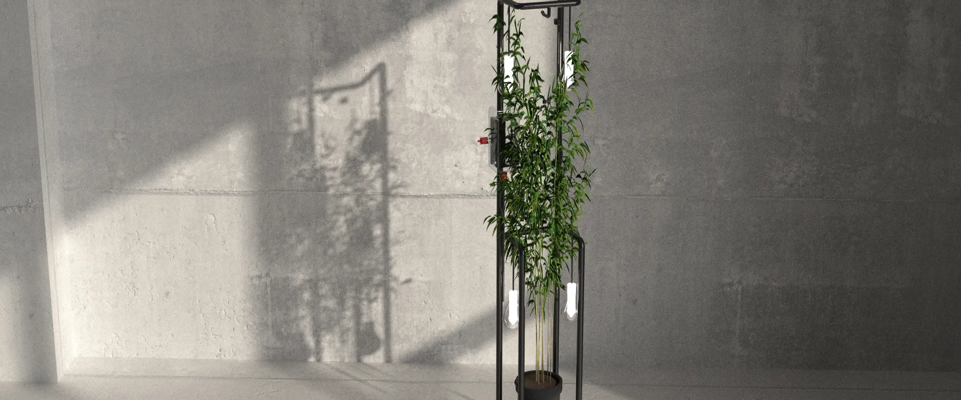 Sistema de Plantas Simbiótico_03