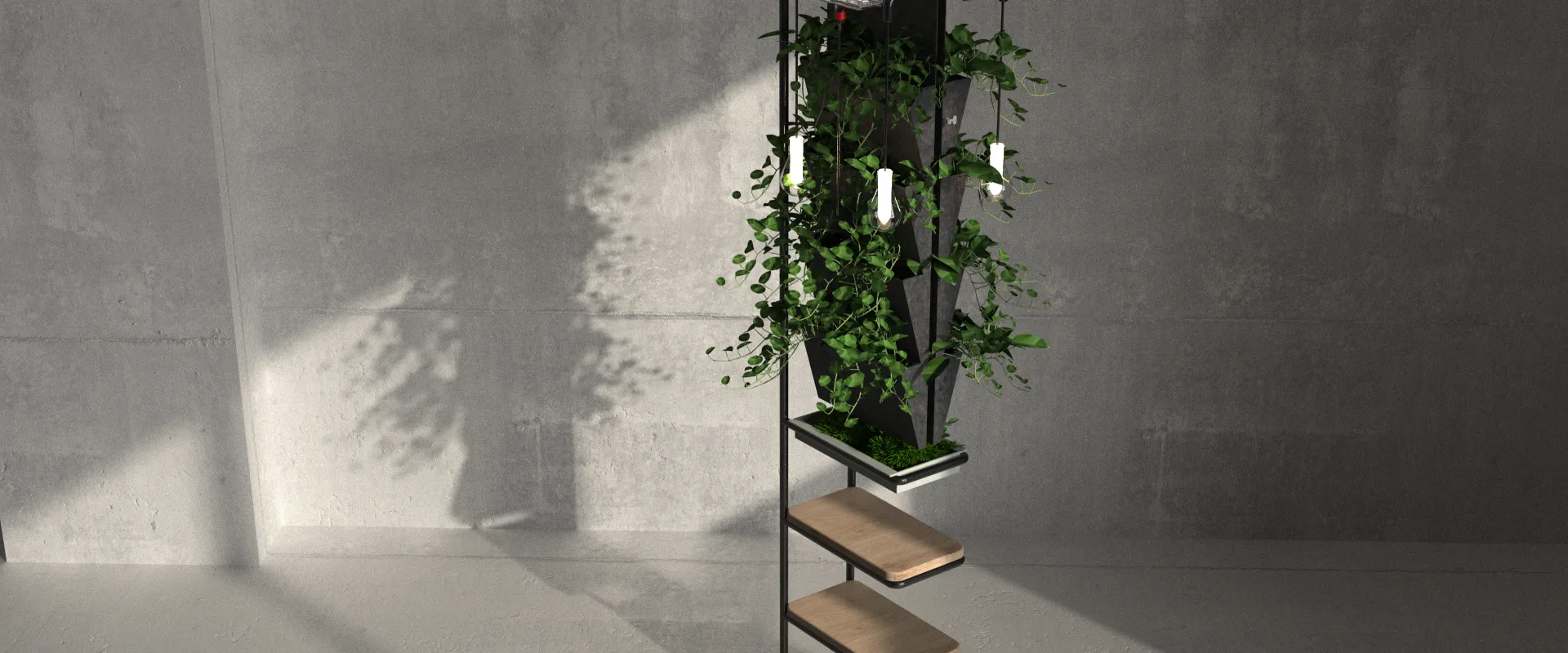 Sistema de Plantas Simbiótico_04