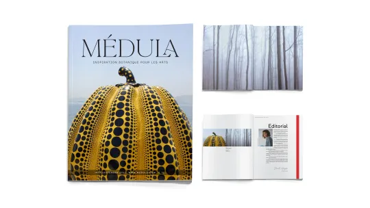 Medula