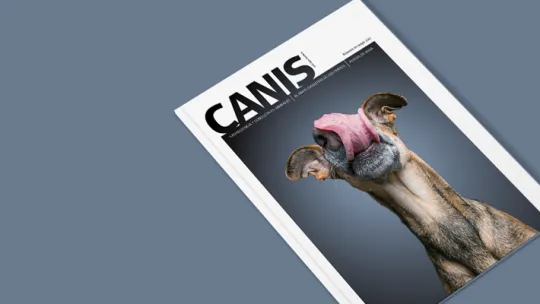 000_portada.png