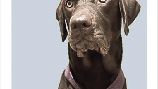 portada_nanook.jpg