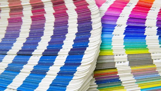 paletas de colores