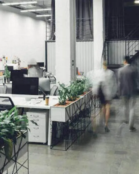 El diseño del espacio de trabajo y su relación con la productividad