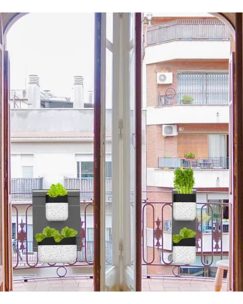 UETO 2