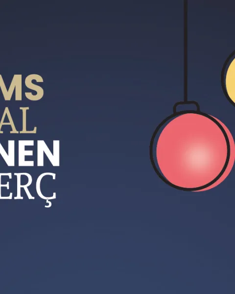 ESDESIGN participa en el proyecto Llums de Nadal