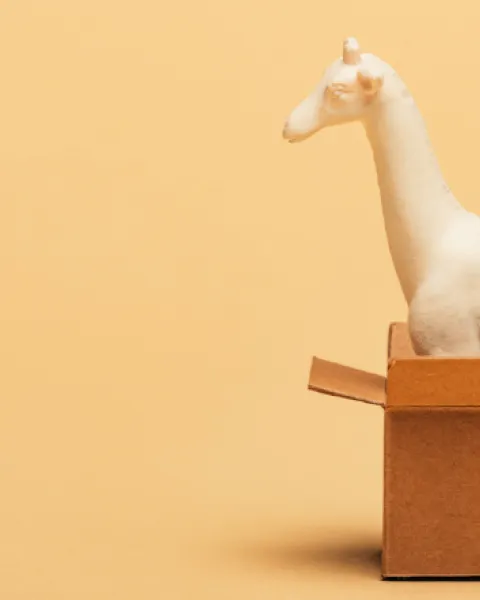 ¿Qué tipos de packaging existen?
