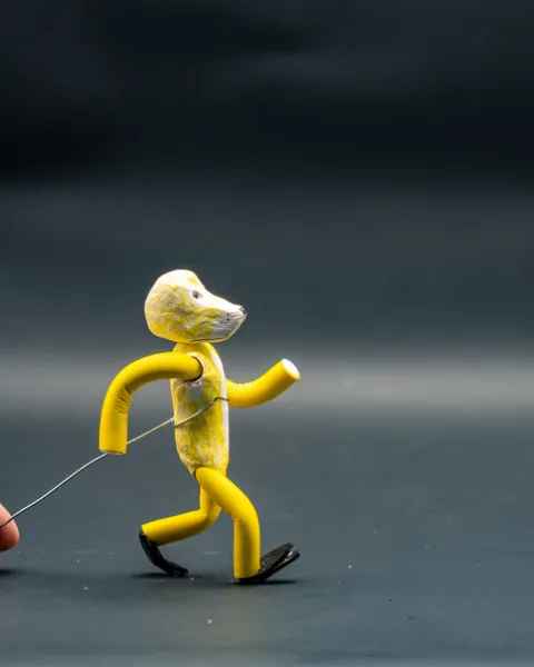 stop motion