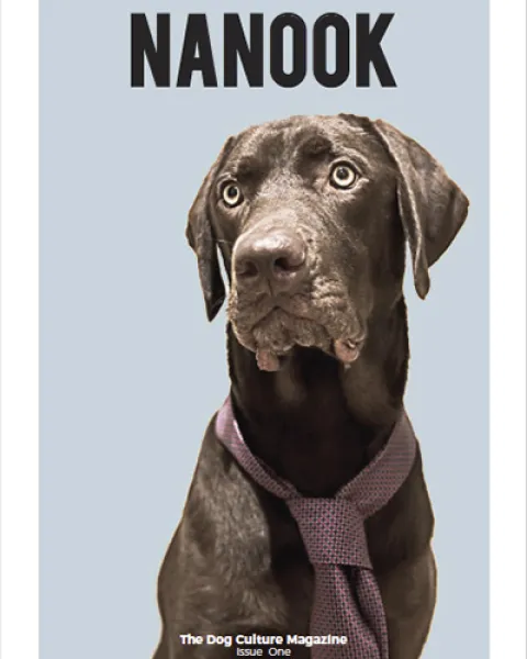 portada_nanook.jpg
