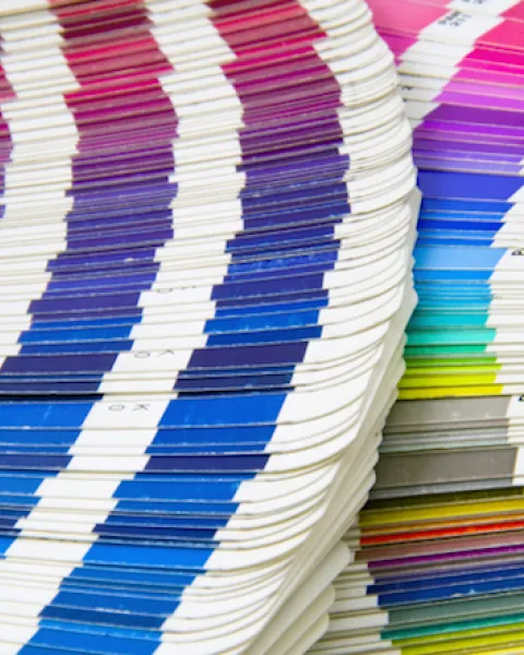 paletas de colores