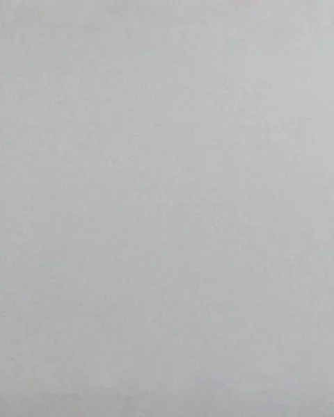 banner paula collado