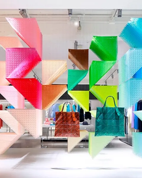 100 colores en un día