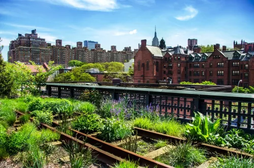 Las claves del diseño de parques y jardines