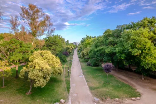 diseño de parques y jardines