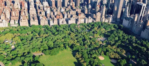 Arquitectura del paisaje: claves del urbanismo y paisajismo